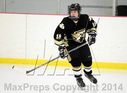 Thumbnail 2 in Joel Barlow @ Shepaug/Litchfield/Nonnewaug photogallery.