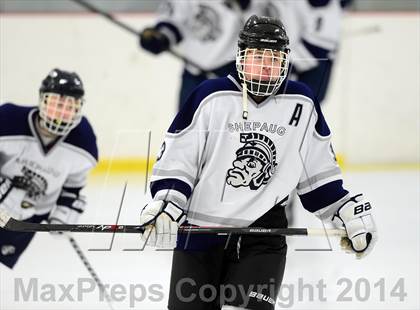 Thumbnail 3 in Joel Barlow @ Shepaug/Litchfield/Nonnewaug photogallery.