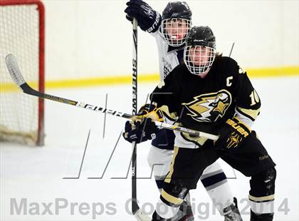 Thumbnail 3 in Joel Barlow @ Shepaug/Litchfield/Nonnewaug photogallery.