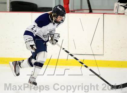 Thumbnail 2 in Joel Barlow @ Shepaug/Litchfield/Nonnewaug photogallery.