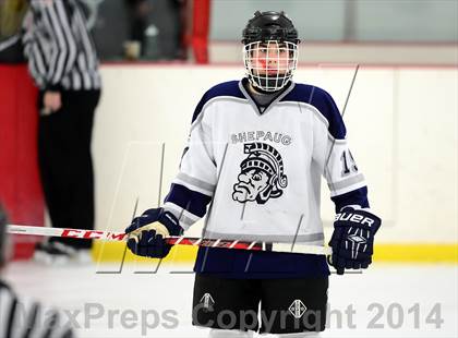 Thumbnail 3 in Joel Barlow @ Shepaug/Litchfield/Nonnewaug photogallery.