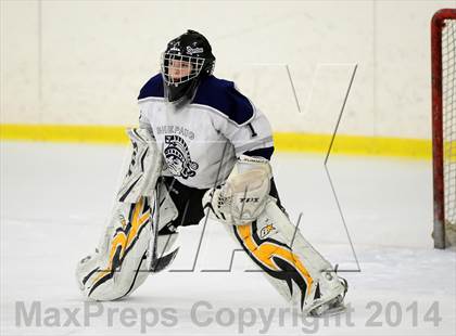 Thumbnail 2 in Joel Barlow @ Shepaug/Litchfield/Nonnewaug photogallery.