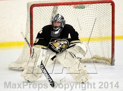 Thumbnail 1 in Joel Barlow @ Shepaug/Litchfield/Nonnewaug photogallery.