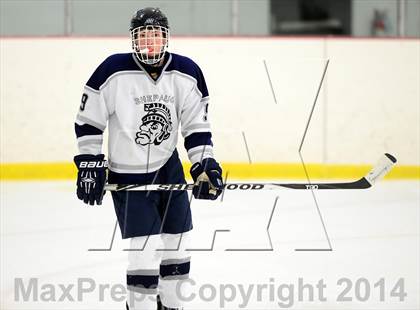 Thumbnail 1 in Joel Barlow @ Shepaug/Litchfield/Nonnewaug photogallery.