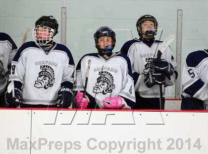 Thumbnail 1 in Joel Barlow @ Shepaug/Litchfield/Nonnewaug photogallery.