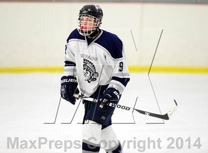 Thumbnail 2 in Joel Barlow @ Shepaug/Litchfield/Nonnewaug photogallery.