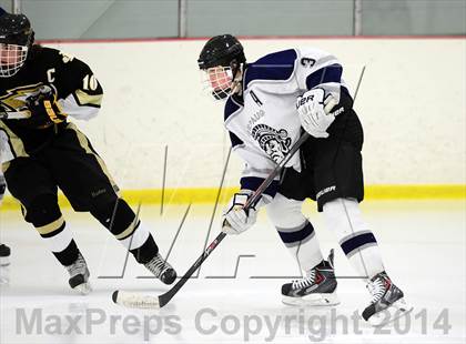 Thumbnail 1 in Joel Barlow @ Shepaug/Litchfield/Nonnewaug photogallery.