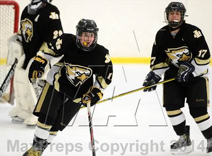 Thumbnail 1 in Joel Barlow @ Shepaug/Litchfield/Nonnewaug photogallery.
