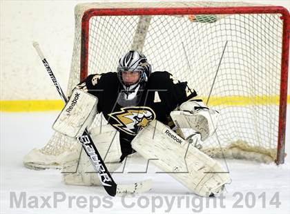 Thumbnail 3 in Joel Barlow @ Shepaug/Litchfield/Nonnewaug photogallery.