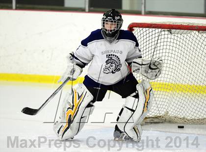 Thumbnail 2 in Joel Barlow @ Shepaug/Litchfield/Nonnewaug photogallery.