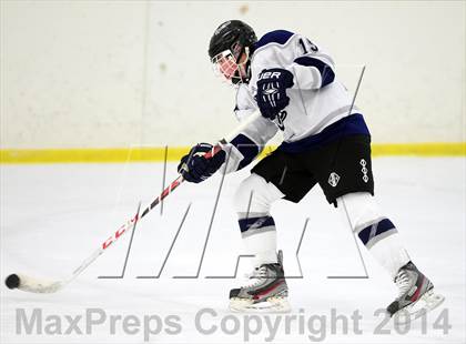 Thumbnail 3 in Joel Barlow @ Shepaug/Litchfield/Nonnewaug photogallery.