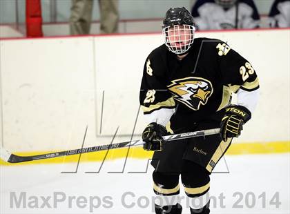 Thumbnail 1 in Joel Barlow @ Shepaug/Litchfield/Nonnewaug photogallery.