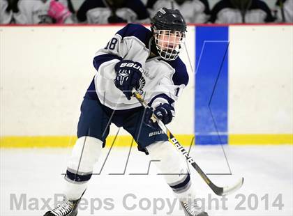 Thumbnail 3 in Joel Barlow @ Shepaug/Litchfield/Nonnewaug photogallery.