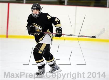 Thumbnail 3 in Joel Barlow @ Shepaug/Litchfield/Nonnewaug photogallery.