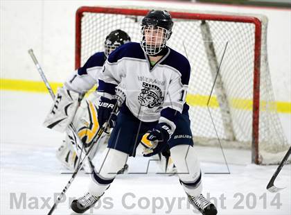 Thumbnail 2 in Joel Barlow @ Shepaug/Litchfield/Nonnewaug photogallery.