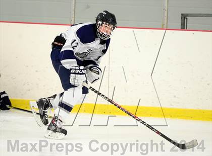 Thumbnail 3 in Joel Barlow @ Shepaug/Litchfield/Nonnewaug photogallery.