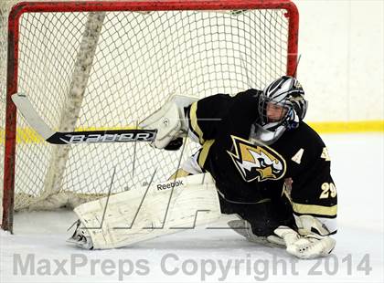 Thumbnail 1 in Joel Barlow @ Shepaug/Litchfield/Nonnewaug photogallery.