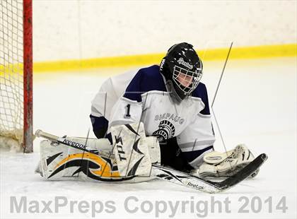 Thumbnail 2 in Joel Barlow @ Shepaug/Litchfield/Nonnewaug photogallery.