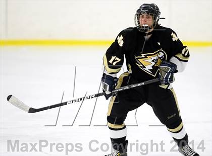 Thumbnail 1 in Joel Barlow @ Shepaug/Litchfield/Nonnewaug photogallery.