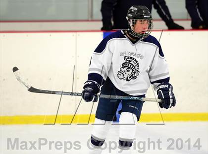 Thumbnail 1 in Joel Barlow @ Shepaug/Litchfield/Nonnewaug photogallery.