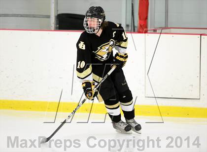 Thumbnail 1 in Joel Barlow @ Shepaug/Litchfield/Nonnewaug photogallery.