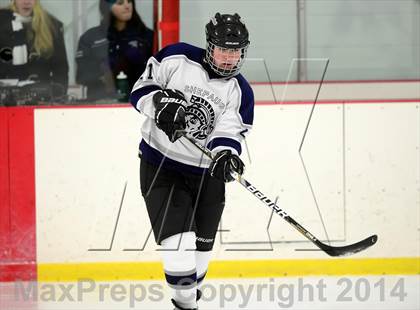 Thumbnail 3 in Joel Barlow @ Shepaug/Litchfield/Nonnewaug photogallery.