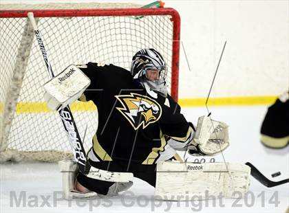 Thumbnail 3 in Joel Barlow @ Shepaug/Litchfield/Nonnewaug photogallery.