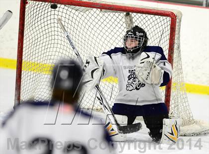 Thumbnail 2 in Joel Barlow @ Shepaug/Litchfield/Nonnewaug photogallery.