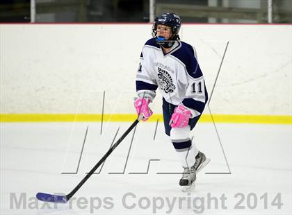 Thumbnail 1 in Joel Barlow @ Shepaug/Litchfield/Nonnewaug photogallery.