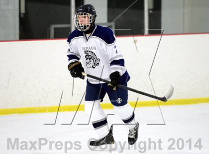 Thumbnail 3 in Joel Barlow @ Shepaug/Litchfield/Nonnewaug photogallery.