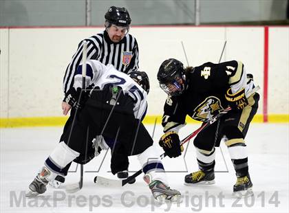 Thumbnail 1 in Joel Barlow @ Shepaug/Litchfield/Nonnewaug photogallery.