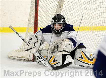 Thumbnail 1 in Joel Barlow @ Shepaug/Litchfield/Nonnewaug photogallery.