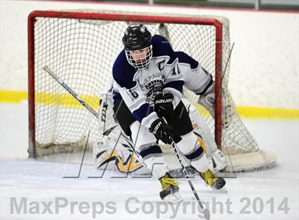 Thumbnail 3 in Joel Barlow @ Shepaug/Litchfield/Nonnewaug photogallery.
