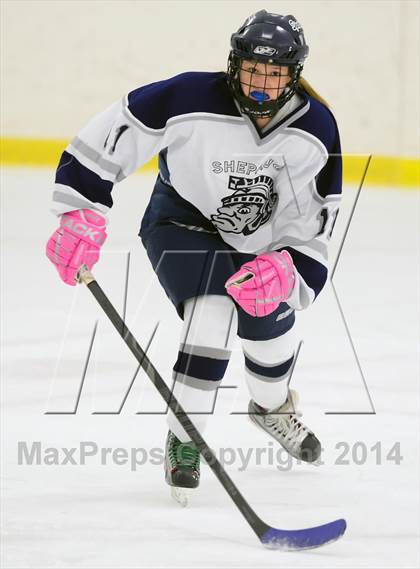 Thumbnail 2 in Joel Barlow @ Shepaug/Litchfield/Nonnewaug photogallery.