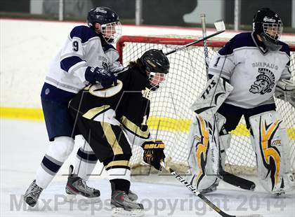 Thumbnail 2 in Joel Barlow @ Shepaug/Litchfield/Nonnewaug photogallery.