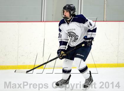 Thumbnail 3 in Joel Barlow @ Shepaug/Litchfield/Nonnewaug photogallery.