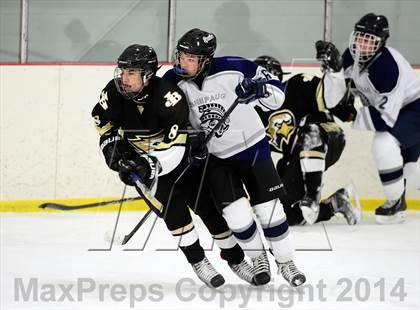Thumbnail 3 in Joel Barlow @ Shepaug/Litchfield/Nonnewaug photogallery.