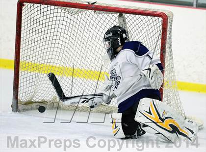 Thumbnail 3 in Joel Barlow @ Shepaug/Litchfield/Nonnewaug photogallery.