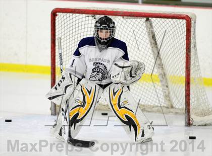 Thumbnail 2 in Joel Barlow @ Shepaug/Litchfield/Nonnewaug photogallery.