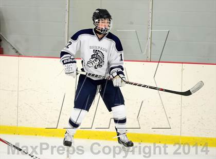 Thumbnail 3 in Joel Barlow @ Shepaug/Litchfield/Nonnewaug photogallery.