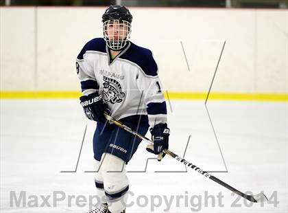 Thumbnail 1 in Joel Barlow @ Shepaug/Litchfield/Nonnewaug photogallery.