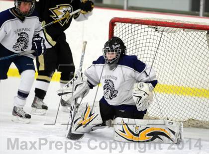 Thumbnail 2 in Joel Barlow @ Shepaug/Litchfield/Nonnewaug photogallery.