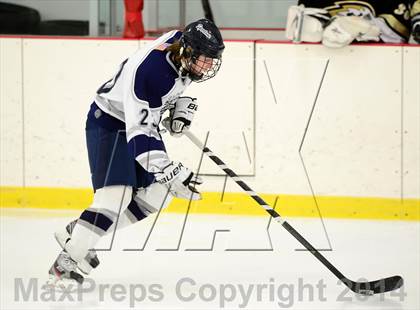 Thumbnail 3 in Joel Barlow @ Shepaug/Litchfield/Nonnewaug photogallery.
