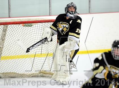 Thumbnail 3 in Joel Barlow @ Shepaug/Litchfield/Nonnewaug photogallery.