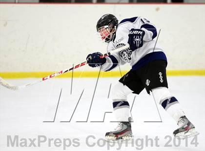 Thumbnail 1 in Joel Barlow @ Shepaug/Litchfield/Nonnewaug photogallery.