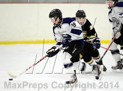 Thumbnail 3 in Joel Barlow @ Shepaug/Litchfield/Nonnewaug photogallery.