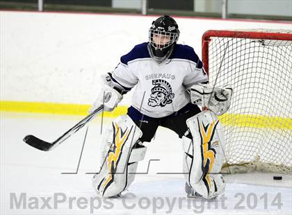 Thumbnail 1 in Joel Barlow @ Shepaug/Litchfield/Nonnewaug photogallery.
