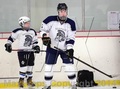 Thumbnail 2 in Joel Barlow @ Shepaug/Litchfield/Nonnewaug photogallery.