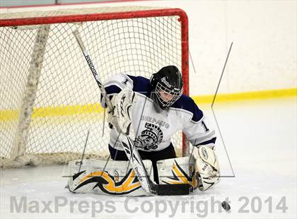 Thumbnail 1 in Joel Barlow @ Shepaug/Litchfield/Nonnewaug photogallery.