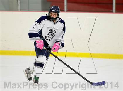 Thumbnail 3 in Joel Barlow @ Shepaug/Litchfield/Nonnewaug photogallery.